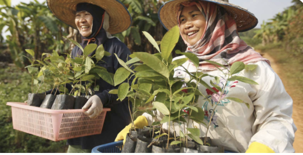 On vous présente aujourd'hui le 3eme projet que vous pourrez soutenir grâce à notre programme de parrainage : 
Cette fois-ci direction la #Thaïlande ! Et c'est toujours un programme de reboisement en #agroforesterie !
green-got.com/projects/thail…

<a href="/ONF_Officiel/">Office national des forêts</a> <a href="/sauvonslaforet/">Sauvons la forêt</a>