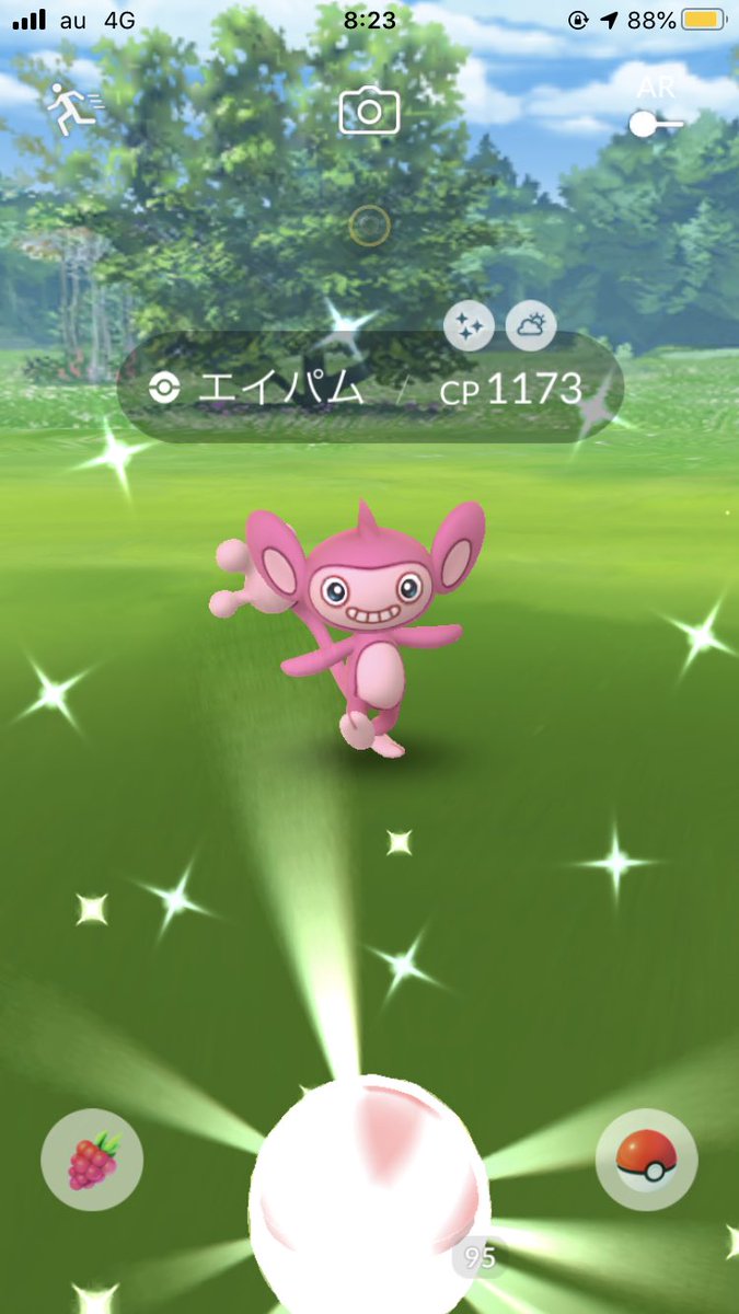 色違いエイパム