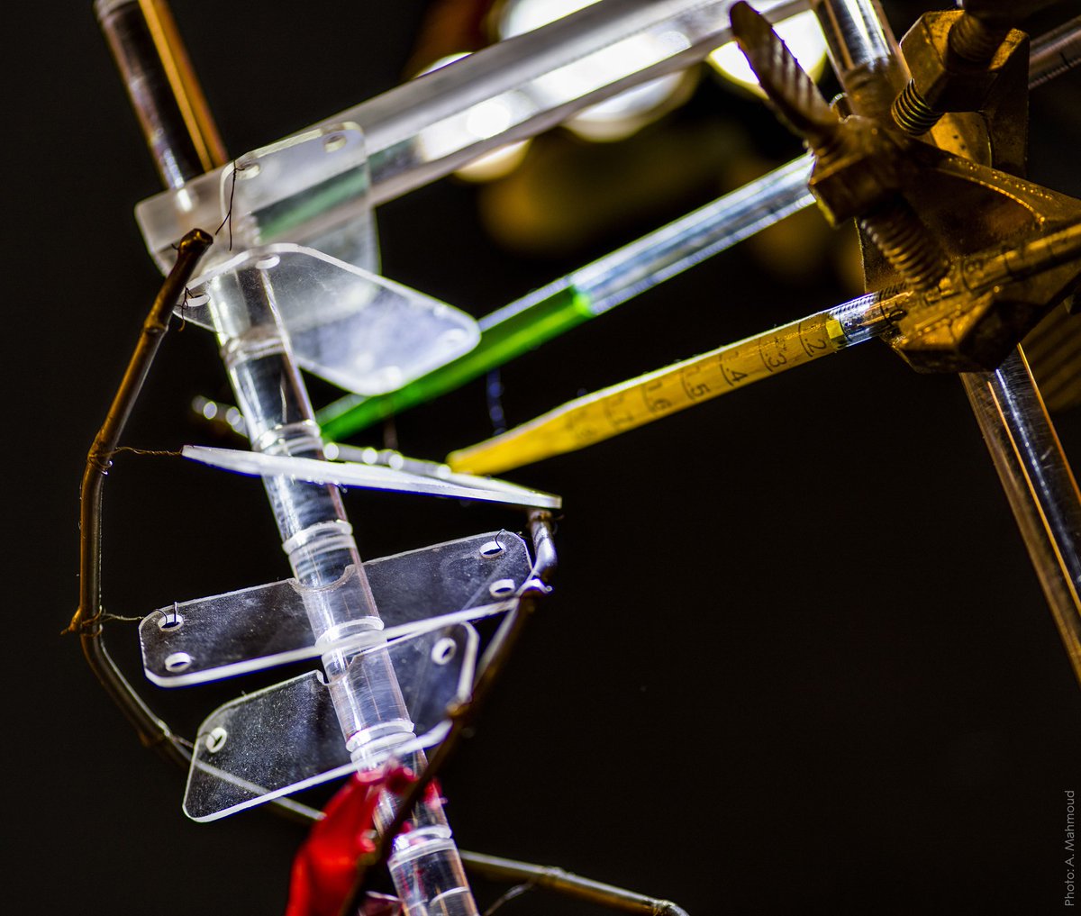 Happy birthday to chemist Aziz Sancar born #OTD in 1946 in southeast Turkey. In 1983, through studies of bacteria, Sancar showed how certain protein molecules, called repair enzymes, repair DNA damaged by ultraviolet light.

Photo: Sancar and his DNA model.