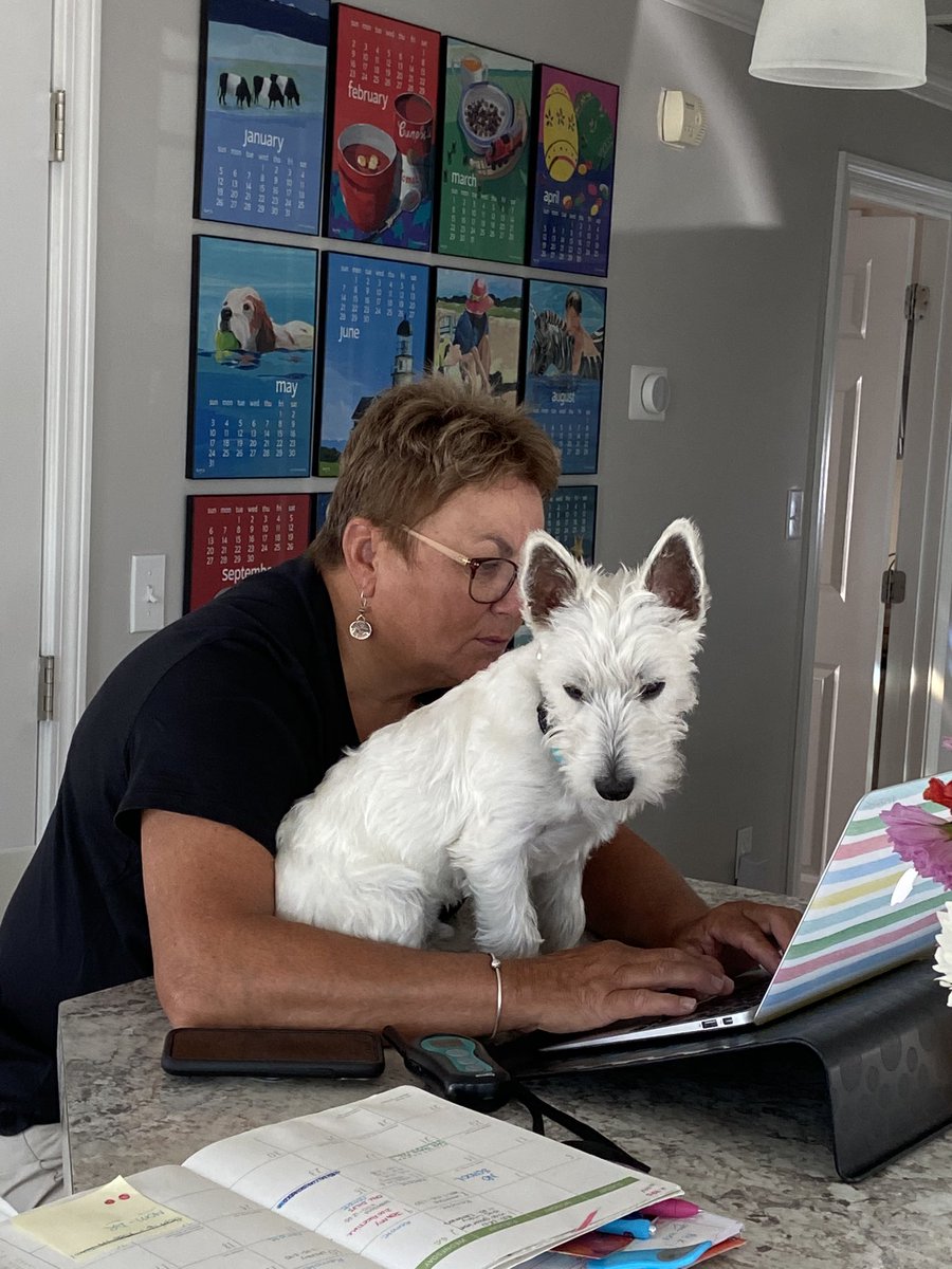 Calliesjoe's tweet photo. My mom yesterday- “ I can’t live like this anymore get this dog out of here.”

My mom today- https://t.co/uTKnqrAeyA