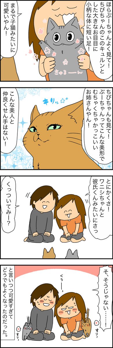 ✨更新✨
人間をあしらうなんて楽勝だにゃ～ん???なお漫画。
しかしどうやったら仲良くなるんやろか? 