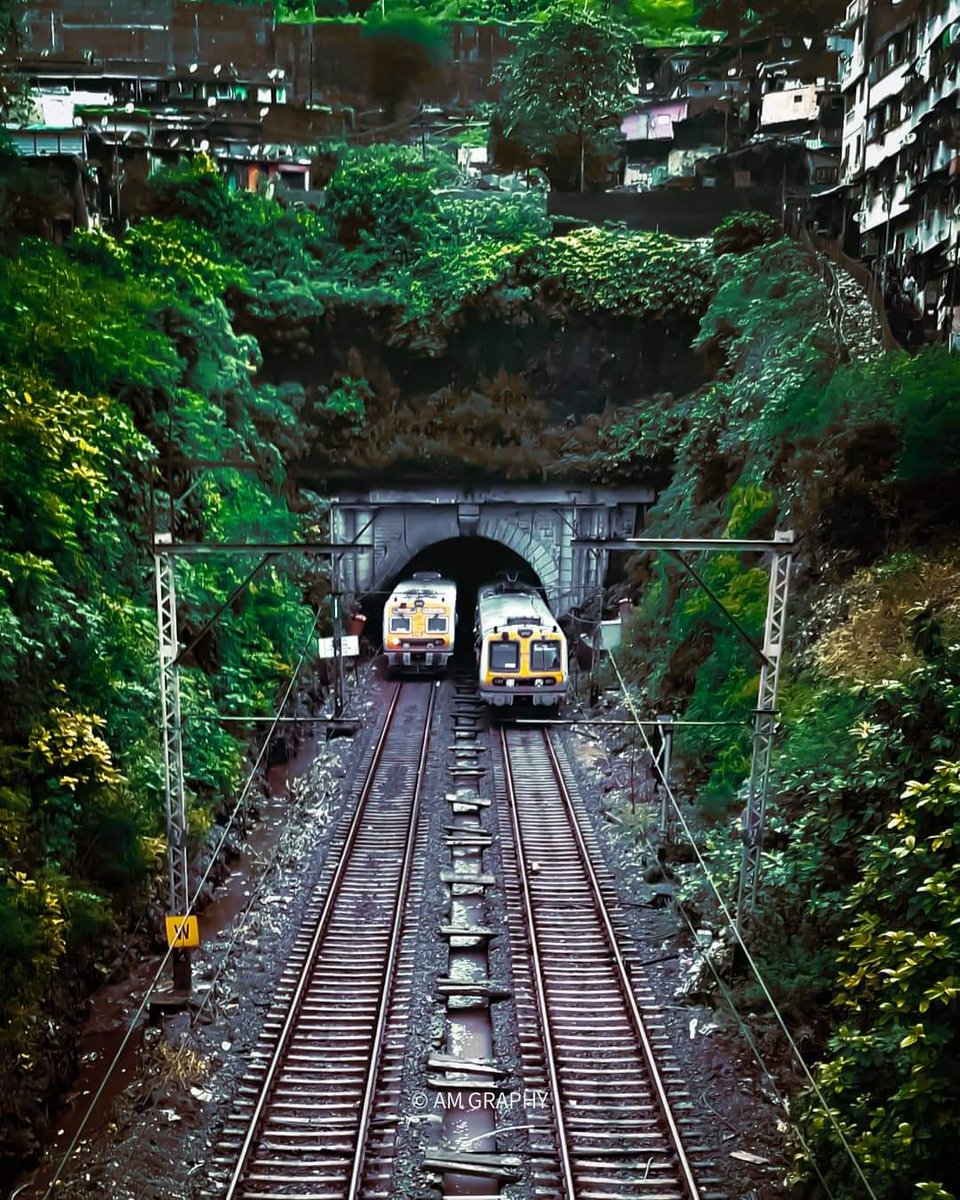 MumRail's tweet photo. @MahaForest &amp; @TMCaTweetAway not at all taking responsibility of Railway . Oldest Railway tunnel is at Risk but they keep calm &amp; supporting ilegle structure. SC already order to Delhi government but Maharashtra Government not responding? @AUThackeray @CMOMaharashtra https://t.co/9Ke9DK6i9h