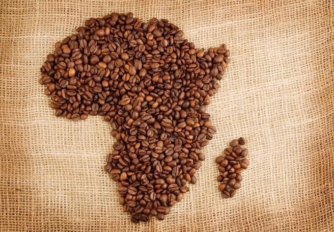 ecroporigin's tweet photo. Helping African Coffee farms increase yields, improve quality and raise profits. https://t.co/SxjJT9SdmY
 #coffee #specialtycoffee #agriculturetechnology #agricultureandfarming #coffeefarming #ecroporigin #agriculturadigital #sustainablecoffee #agriculturtech #marketplaces https://t.co/oaU3VRLZB3