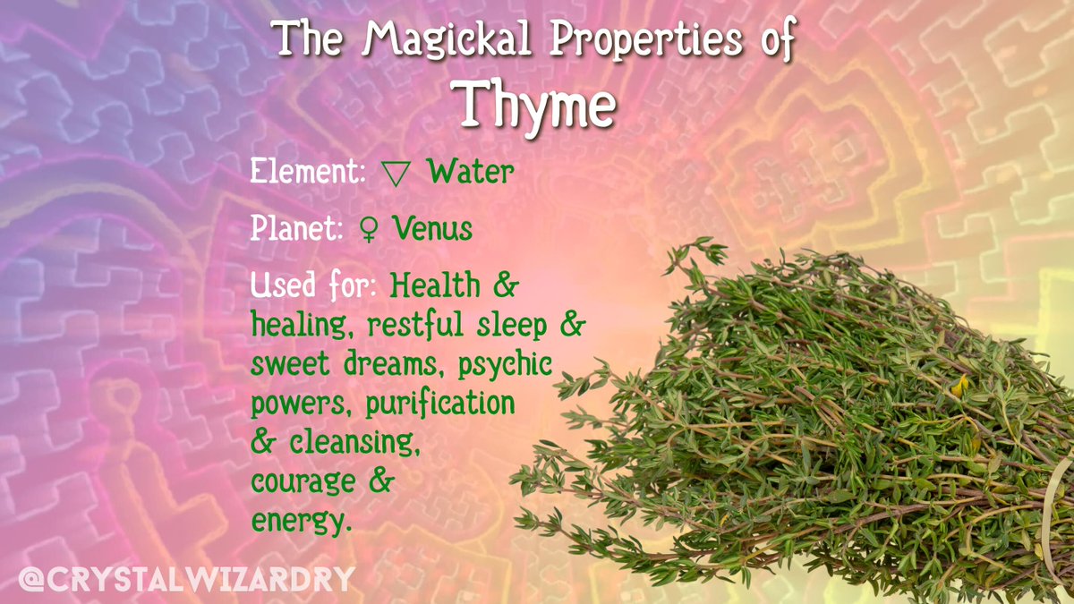 CrystalWizardry's tweet photo. Ok, resisting the urge to make a pun hereโฆ wordplay potential aside, Thyme is of course a much loved herb. Did you know you can use it to smoke cleanse?
#greenwitch #greenwitchcraft #greenwitchery #herbalmagick #herbwitch #magickal #witchy #witchthings ๐งโโ๏ธ #crystalwizardry https://t.co/EbhJygozti