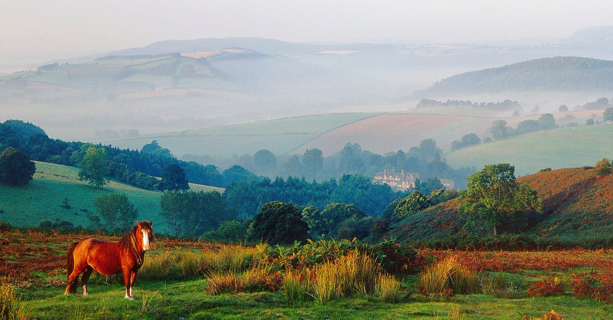 Wonderful to see Shropshire featured in the Telegraph recently and heralded as a dead ringer for Switzerland 👌! 
Read the full article here 👇
visitshropshire.co.uk/news/the-teleg…
Photos of the Shropshire Hills Area of Outstanding Natural Beauty.
#visitshropshire #loveshropshire