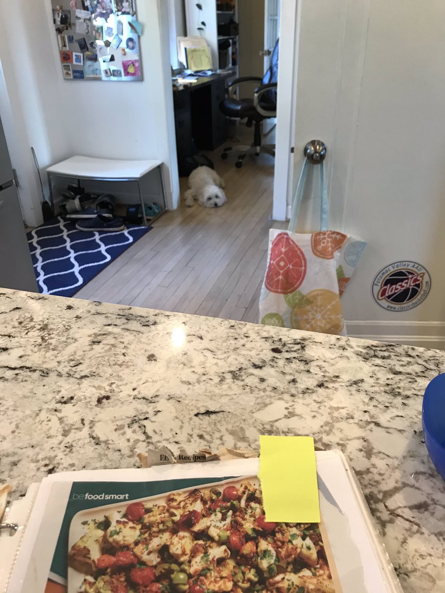 Glovey_Chron's tweet photo. Thinking back to yesterday when Mom needed reminding that it was dinnertime for me, too. That’s me by my food bowl while she cooks dinner for herself and Dad. Like wtf. A little courtesy for the best member of the family, please? https://t.co/2D28Y4VnU2
