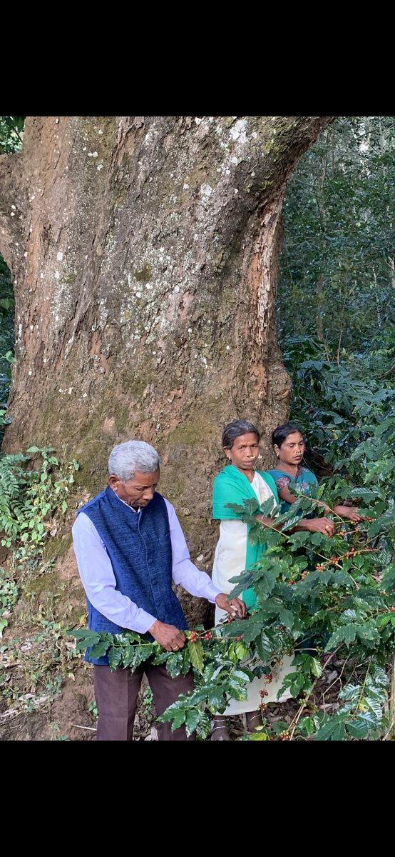 The book uses historical findings and stories to argue how it is both realistic & useful to assume that people are basically good.What touched me are his stories that were like the aphorisms I learned from tribal communities in 20 years of work with  @naandi_india (2/n)