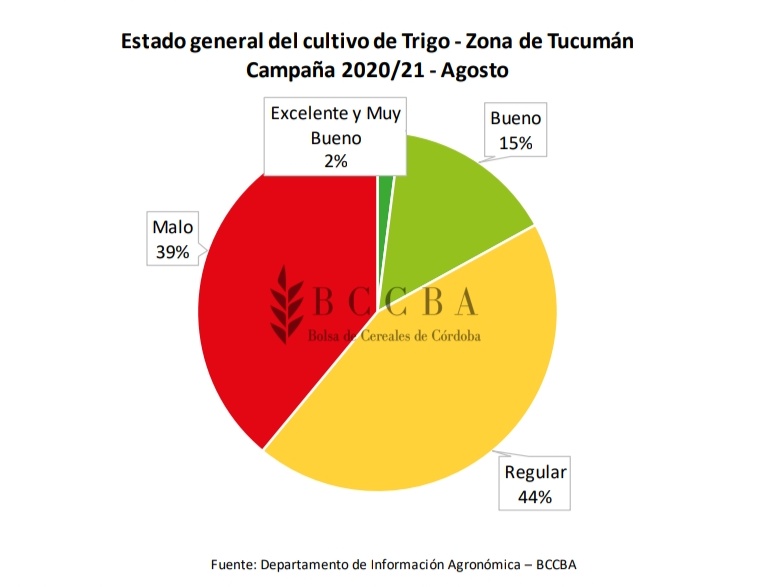 [CULTIVOS]
#Tucumán
#Trigo

Se estima una superficie de 154.500 ha en toda la zona de influencia, de las que 93.400 ha (el 60%) corresponden a la provincia de Tucumán. El cultivo se encuentra  muy afectado por la falta de agua

Más info: 👉 bit.ly/2R3xWN1