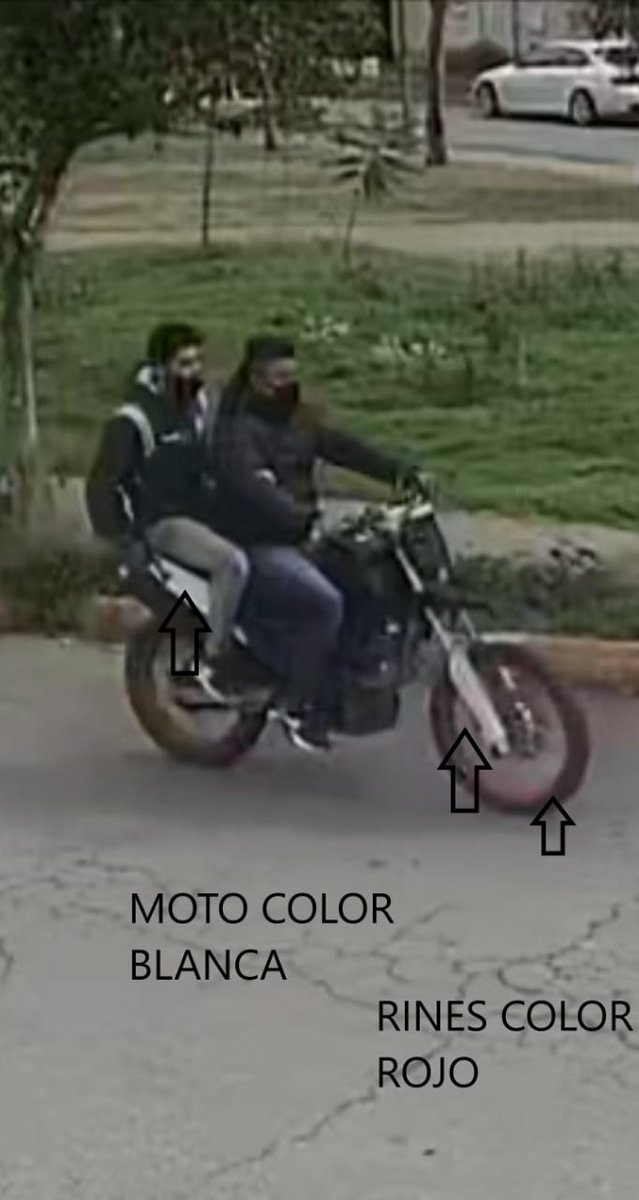 carpmufi's tweet photo. Buenos días!!
Me mandan las fotos de los asaltantes  que se dedican a robar en paseos de Izcalli, para que los conozcan y tengan cuidado de estás personas.
@izcaheroes @HenMex11 @ReinaDe_izcalli @Haparq2 @DmxOficial @malumaa_9 https://t.co/9c9ytHoIQl