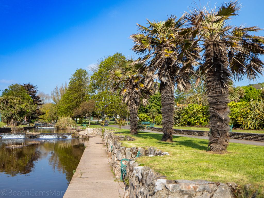 CoastCams247's tweet photo. The April page from our new official 2021 Dawlish Beach Cams Calendar.

https://t.co/ZbqqKYb8pe

#palmtrees #palmtrees🌴 #palmtreeseverywhere #palmtreesandsunshine #palmtreeslover #palmtreesofinstagram #palmtrees🌴🌴 #palmtreesoceanbreeze #palmtreesplease https://t.co/zJ8pZ3qvvd