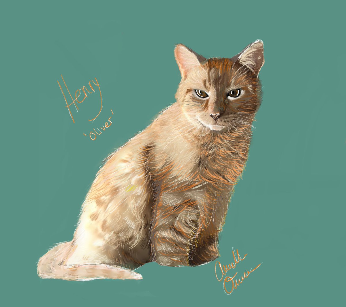 Its day 3 for me, with ol' mr Henry!
#catember20 #catember #CatsOfTwitter #art #Sketchtember #Cat