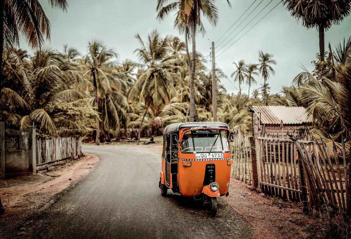 WanderlustersUK's tweet photo. Looking for some inspiration for your first post-COVID escape?! Check out my 5-minute guide to Sri Lanka for a serious hit of Wanderlust https://t.co/3Rxs1QrouD #lp #ttot https://t.co/oFXELllZZn