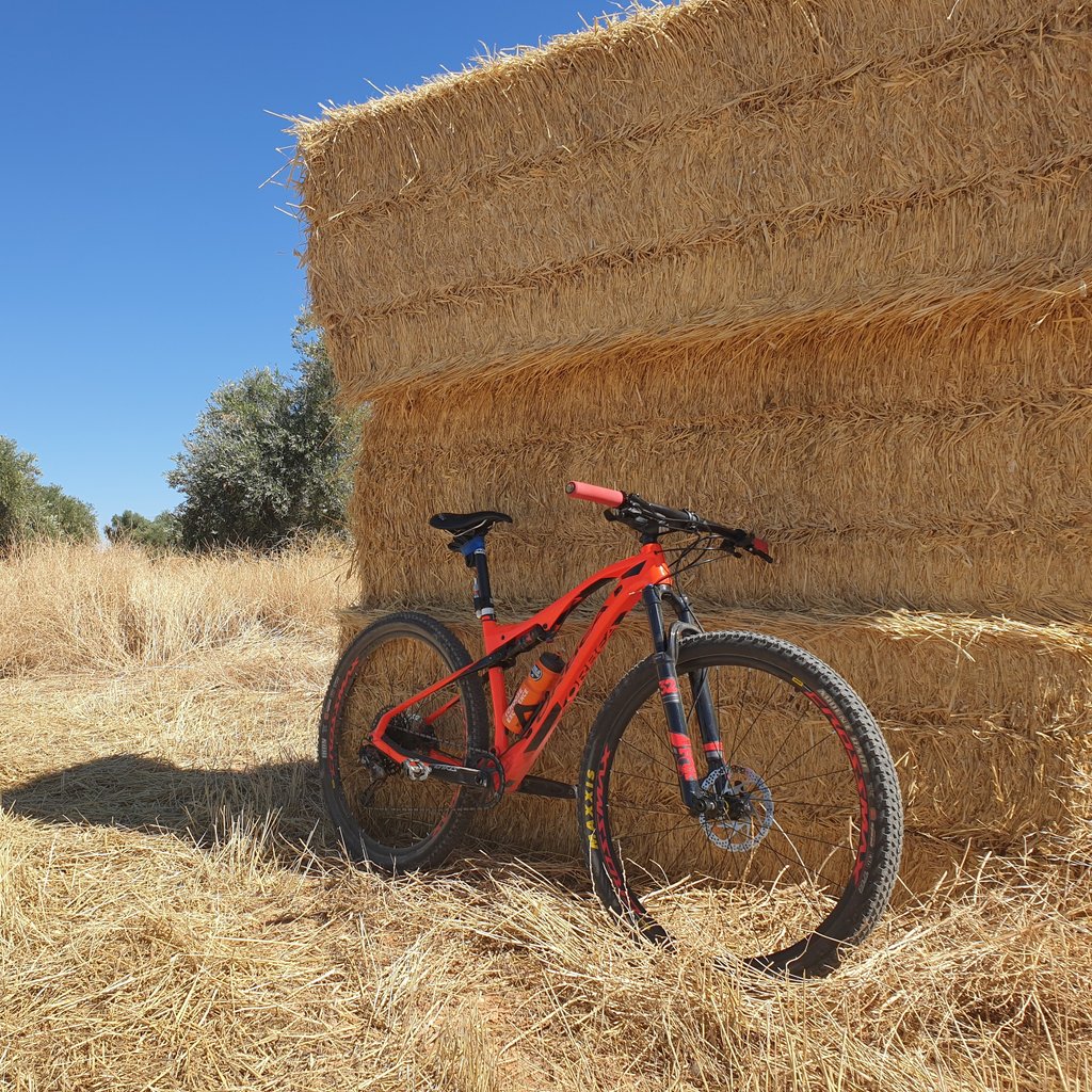 GF_series's tweet image. ➖Mientras rodamos y disfrutamos de lo que más nos gusta,  aprovechamos para pensar y ver en qué se puede mejorar para cuando estemos de vuelta...porque volveremos juntos💪
#siempreFuertesSiemprePositivos #GF8000 
 #LuchamosJuntos #UnaPruebaQueilusiona #EventosConBuenAmbiente