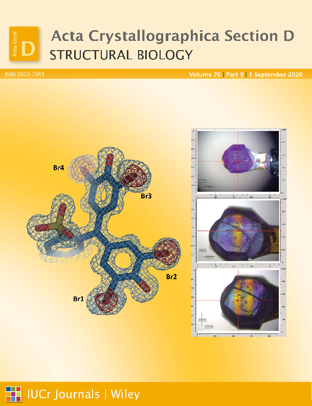 ActaCrystD's tweet photo. September issue is out! https://t.co/gA9SilJl5T. The cover highlights research by Ana Camara-Artigas &amp; coworkers @ualmeria on the binding of bromophenol blue to lysozyme crystals https://t.co/JxAvPGKSt3. Also more from @ccp4_mx Study Weekend and #ISDSB2019 https://t.co/PTSSbMLJNW https://t.co/toPAAe2ZfH