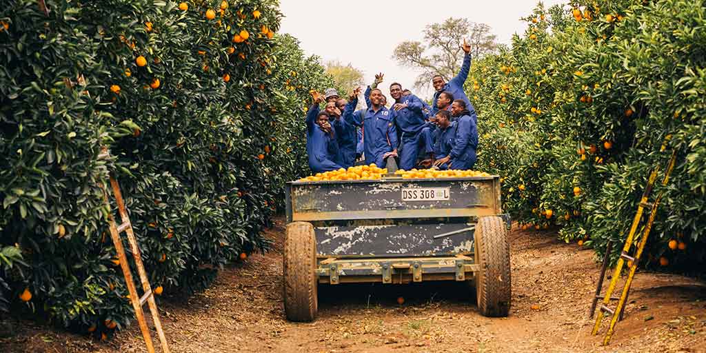 #OnlyWaitrose has helped improve the lives of the people who grow, pick and pack our fresh produce for 15 years through the Waitrose Foundation. 

Find out more here: bit.ly/2Zg1WtE
