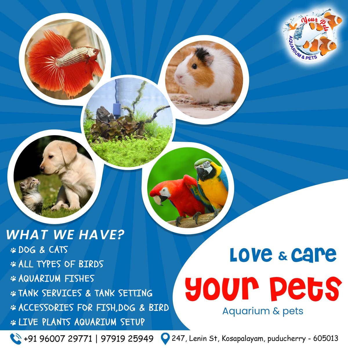 YourPets2's tweet photo. Pets are not our whole life, but they make our lives whole...
Visit and get an one stop solution for your needs.
Contact US: +91 96007 29771 | 97919 25949
#yourpets #Petshop #Aquarium #liveaquarium #pets #dogs #fish #cats #parrot #hamster #fishtank #petsacessories #pondicherry https://t.co/dXfdGlpFRs