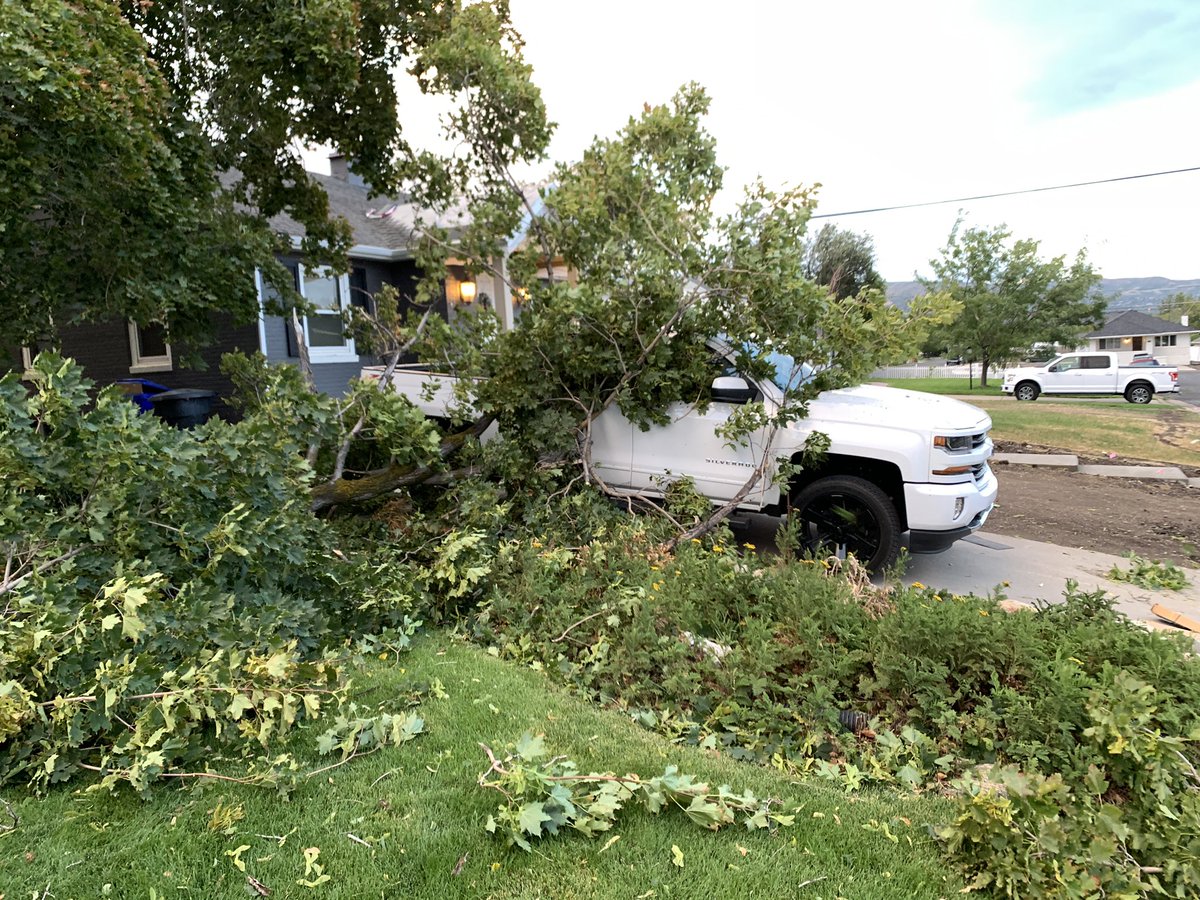 MikeFromSLC's tweet image. I even tried moving my truck out from under a tree last night. #utwx #utwind