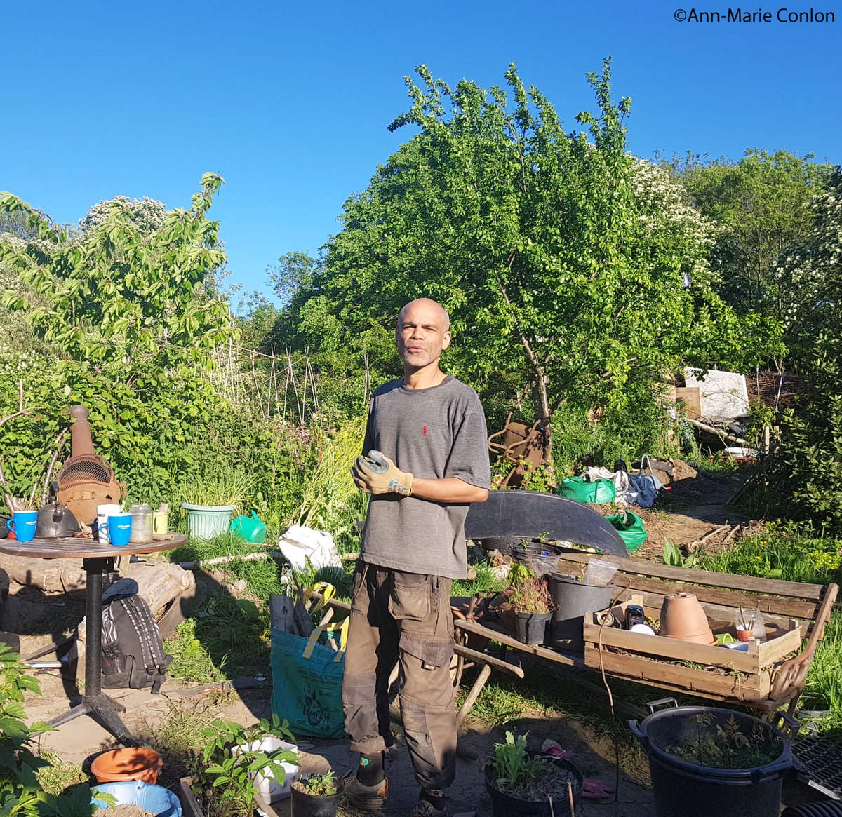 AlotmentS's tweet photo. #DocFilm #DarrensAllotment #FilmStill #DarrenSunderland #Filmmaker #annmarieconlon #LuckyMaskProds
#AlotmentS #interfaithvegan #ahimsaallotment #Allotments #Leeds #CommunityGarden #WoodHouseMoor #HydePark https://t.co/dIllUOuwG7