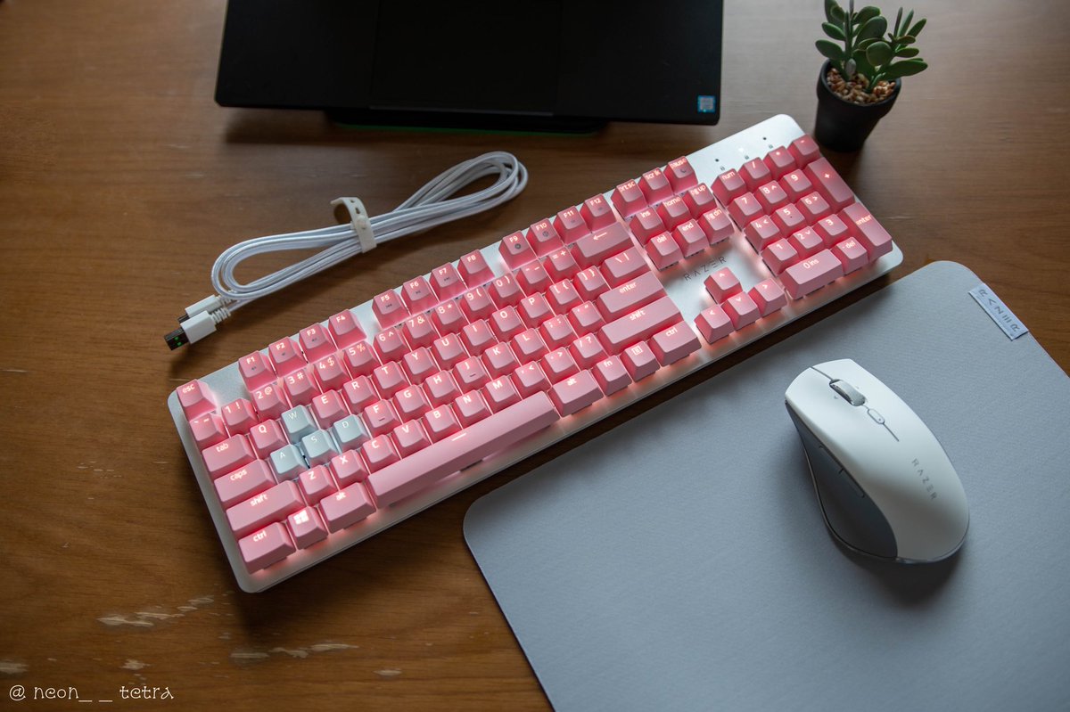 neon__tetra's tweet photo. Razer Productivity🐍
✅Razer Pro Type
✅Razer PBT Keycap Upgrade Set
→☑️Classic Black
→☑️Mercury White
→☑️Quartz Pink
#Razer #ProType #PBTKeycap
#RazerProductivity #ProClick
#Razerphotography https://t.co/Lza3T9Qotg