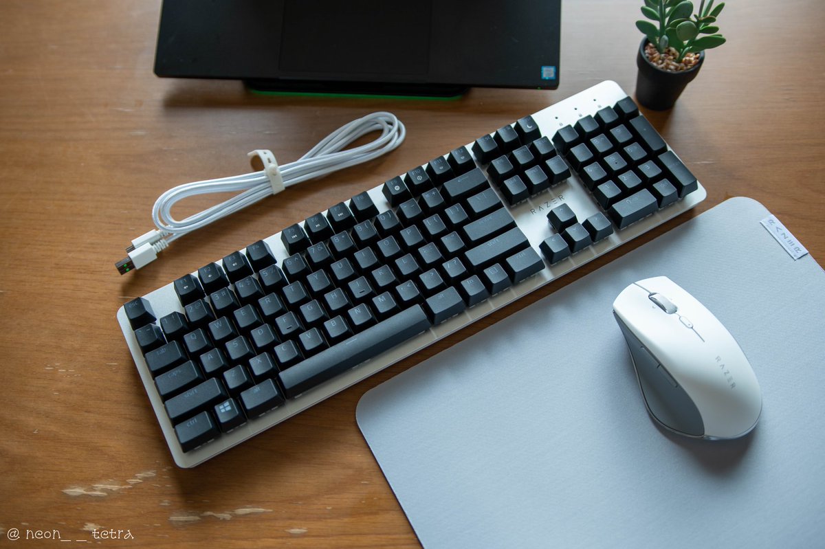 neon__tetra's tweet photo. Razer Productivity🐍
✅Razer Pro Type
✅Razer PBT Keycap Upgrade Set
→☑️Classic Black
→☑️Mercury White
→☑️Quartz Pink
#Razer #ProType #PBTKeycap
#RazerProductivity #ProClick
#Razerphotography https://t.co/Lza3T9Qotg