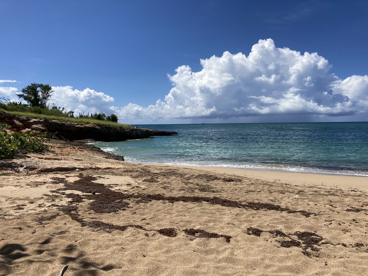 Panoptico787's tweet photo. ¡Nada como el mar y la arena de mi Puerto Rico! Playa Ballena, Guánica, P.R. 🇵🇷❤️ https://t.co/tEtEHWQqwm