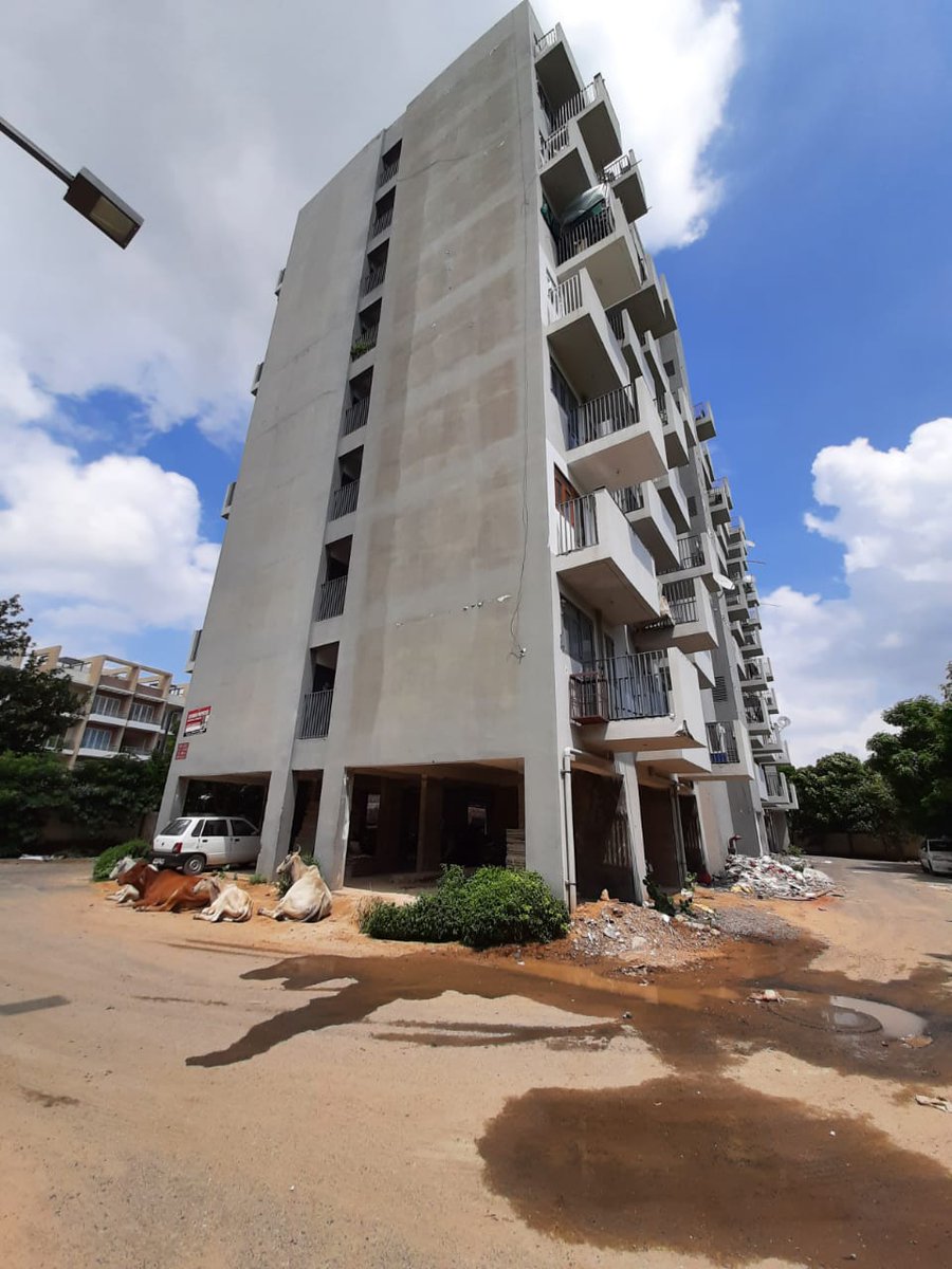 gsinglajourno's tweet photo. #IREOSKYON
#EWSFlats
@ireoworld ने सुविधाओं के नाम पर लोगों को ठगा। लोग बिजली, पानी, सीवर, सफाई, सड़क, ड्रेन जैसी बुनियादी सुविधाओं के लिए परेशान।
@mlkhattar @cmohry @kMakrandIAS @DC_Gurugram https://t.co/RLWvYlI5HD