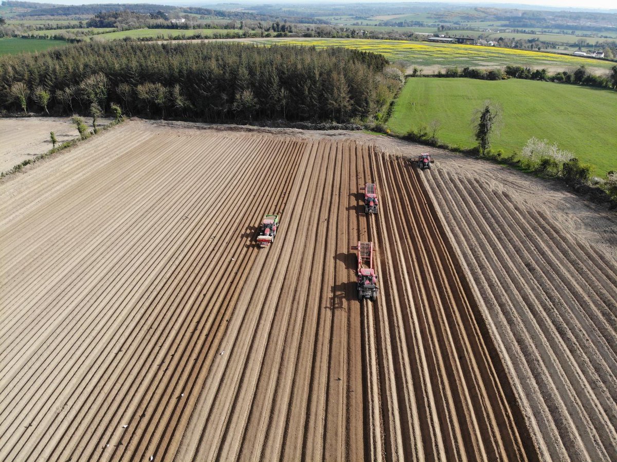 MeathChambers's tweet photo. #Meathjobs @DurninsVeg are currently seeking Potato and Veg Processing Operatives, Details on this #job PLUS dozens more opportunities from our #MeathChamber members can be found here: https://t.co/jRweZNzyWK #MakeitMeat #MiMeath https://t.co/YaJ8AAfufN
