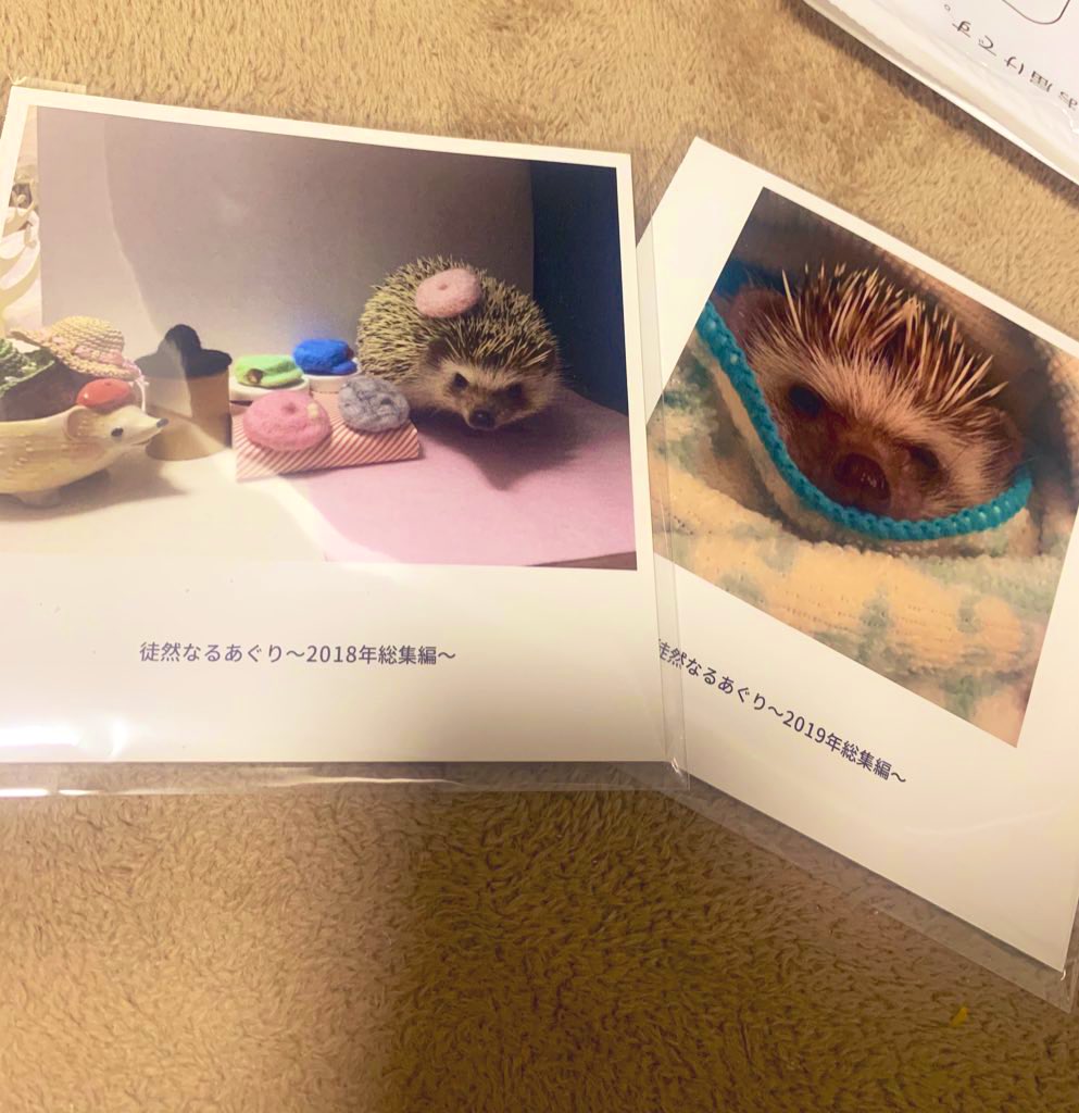 agu123rin's tweet photo. 久あぐり☺️
みぃのすけから綺麗なお花頂きまして🥺✨あぐり大喜びなのです。ずっとサボってたノハナもとりあえず2018、2019年の総集編作った！けど完成品見たら涙が出てくる😢1年前は、というか1か月前は元気にがしゃがしゃしてたんだけどなぁ😢お空で快適に過ごしてほしいな💐 https://t.co/iIGL4Ly7M2