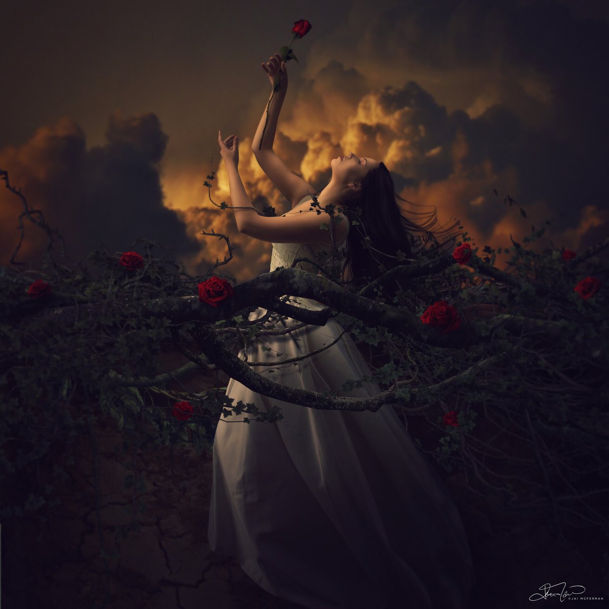 Within Temptation tweet media