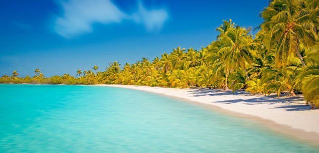 Palm trees and and ocean breeze puts my salty mind at ease 🏝 

#TuesdayMotivation #beach #ocean #TuesdayThoughts #salty #SaltLife #ocean #beach #fishing #diving #surfing #summer 

RT, LIKE &amp; TAG for a chance to win some Saltlife.com #swag or a #couponcode 😎
