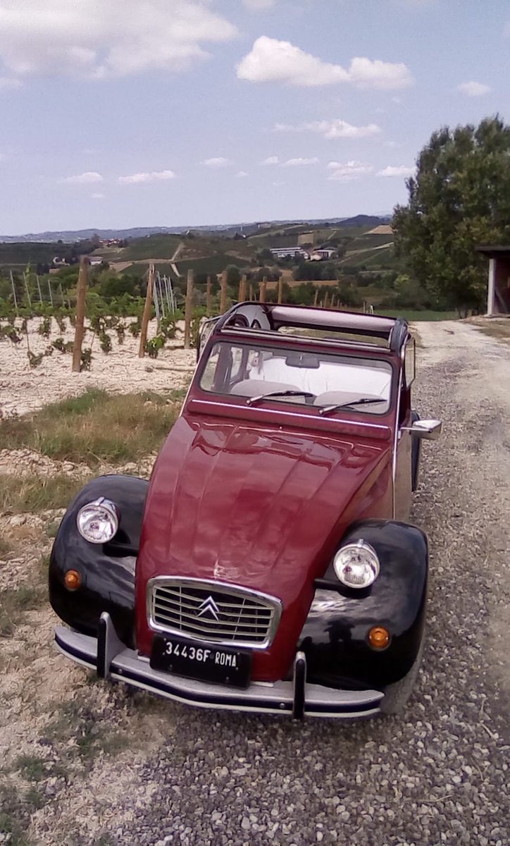 Watson2cv's tweet photo. https://t.co/5hZIOkp2Zs