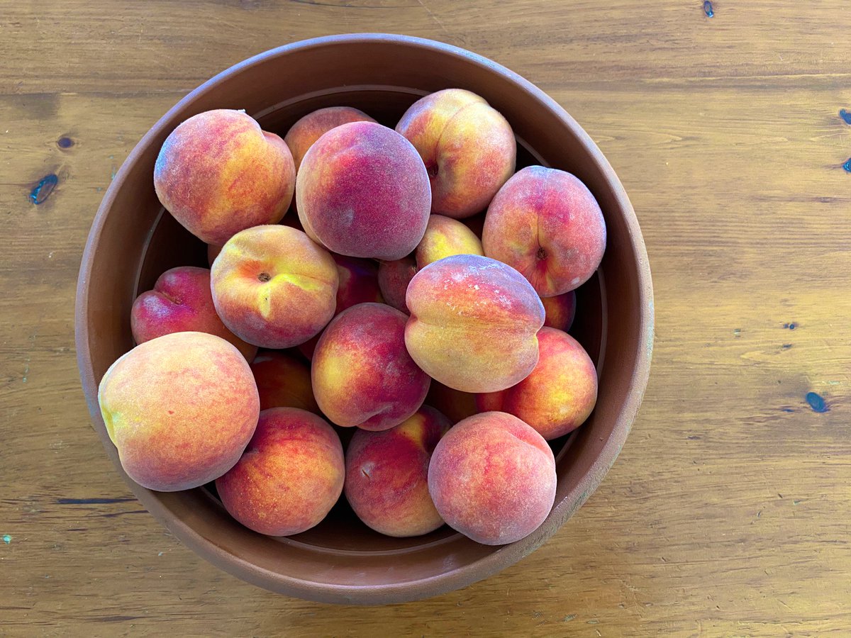 I’ve been gifted this giant bowl of peaches (my favourite fruit) so here is a thread journey of me trying to eat peaches with every meal today 