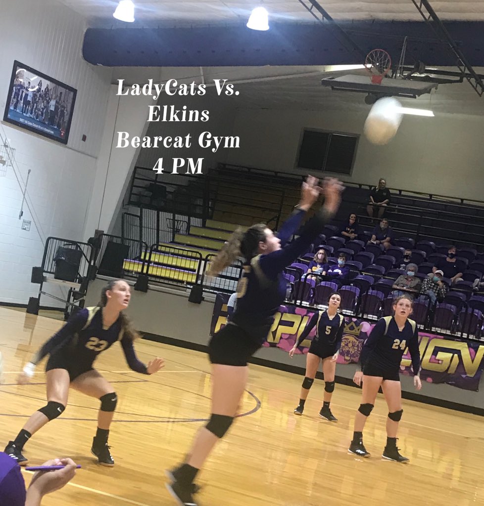 Bearcat_Hoops5's tweet photo. #LadyCatVB hosting Elkins today in a conference match. Trying to halt a three-match skid. @BR_TimesRecord @ASTSprts https://t.co/TXQoqQO08A