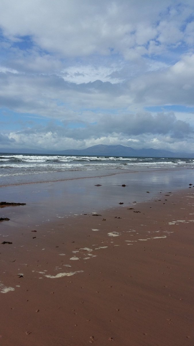 Ayrshire OWLs tweet media