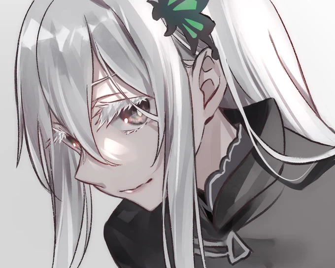 没ドナ 