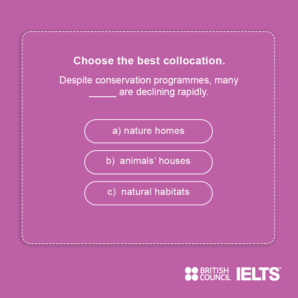 ieltsdcu's tweet photo. Choose the correct answer and write it as a comment below! 

#DCU #IELTS https://t.co/sv90PMCg5X