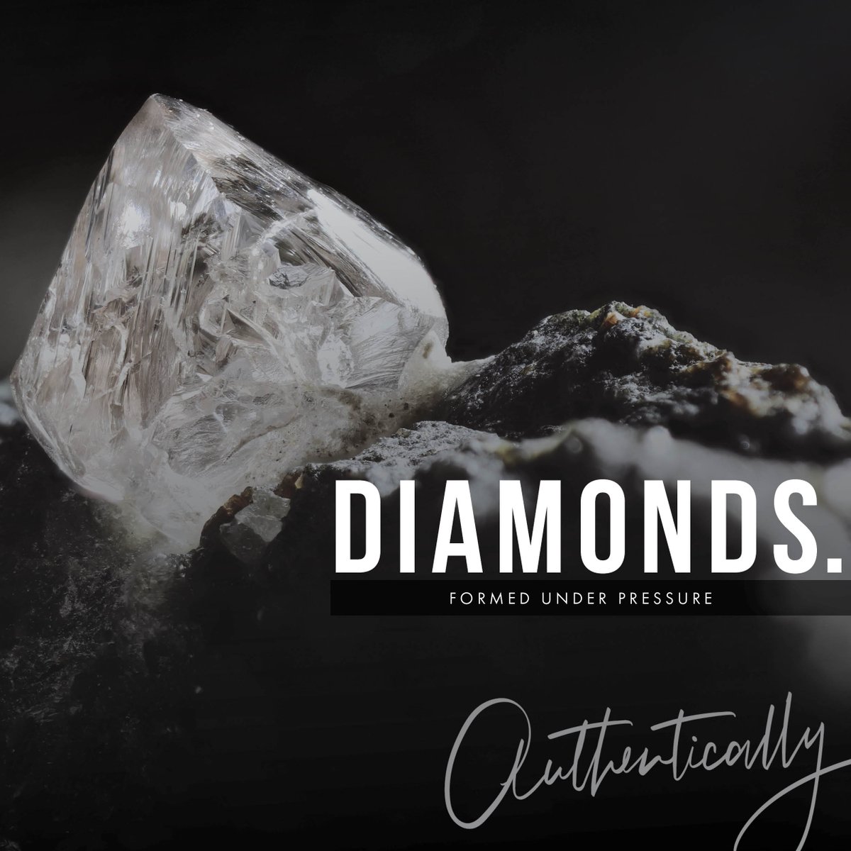 AuthenticallyCa's tweet image. You may never have been promised a rose garden... but when life hands you manure as you can grow what you want in it! Things have been hard for everyone in 2020 - but I want to encourage you today that diamonds are formed under pressure! #WorkHard #ChallengingTimes #YouveGotThis