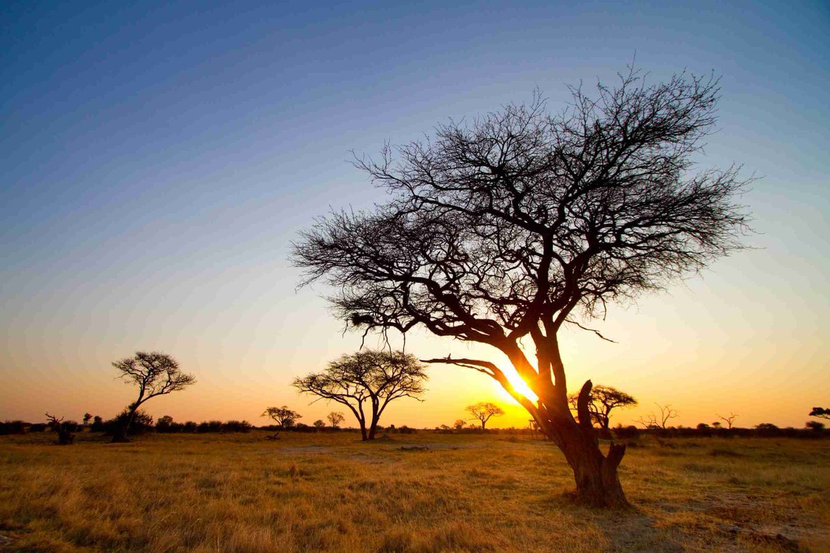 See how beautiful nature is, and stop mining in Hwange national Park #SaveHwangeNationalPark