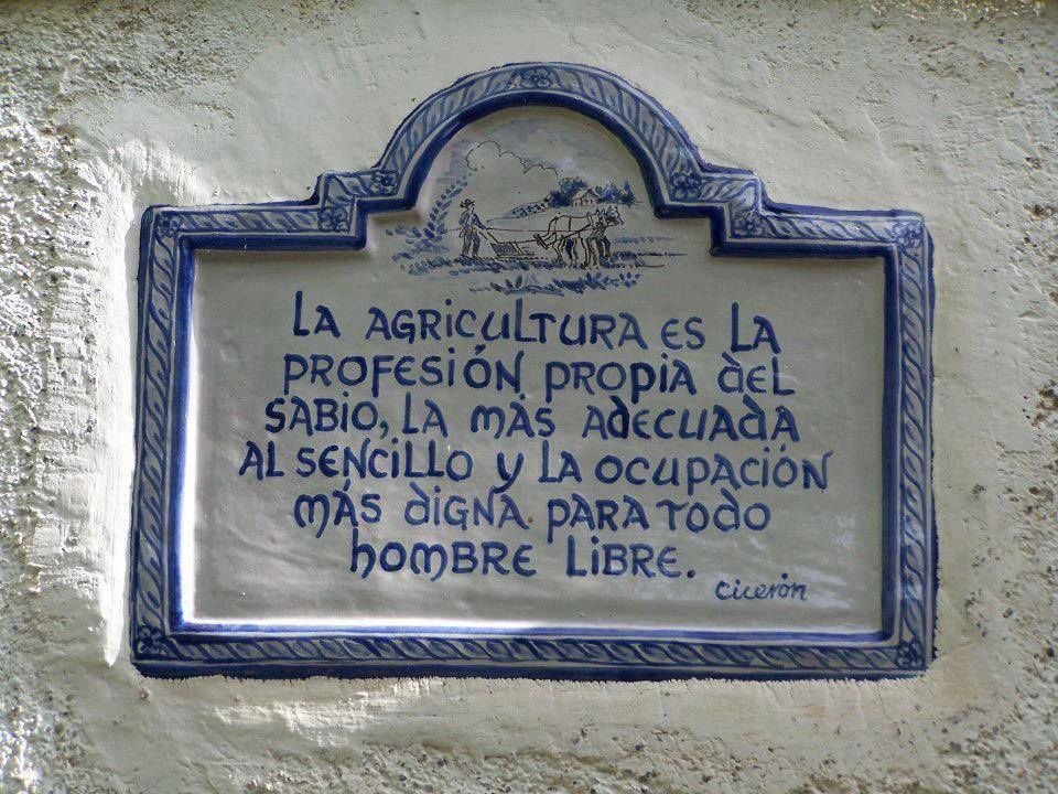 bernardocolomb2's tweet photo. Orgulloso de formar parte de la agricultura! https://t.co/lbR8SS7u7R