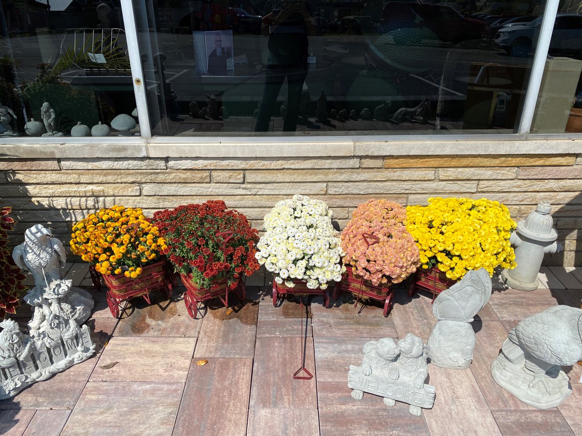 InfinitelyOutdo's tweet image. These red wagon flower planters are just the cutest addition to any porch. Pick up one today.