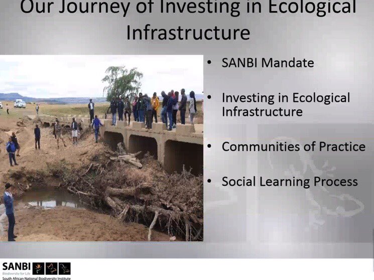 EuretaRose's tweet photo. ⁦@SANBI_ZA⁩ ⁦@mahloditau⁩ outlines a shift to strongly invest in #SocialLearning processes and expertise ⁦@jess_cockburn⁩ ⁦@RUelrc2⁩ as well as #Monitoring #Evaluation and #Learning https://t.co/Ar1ETwsvrc