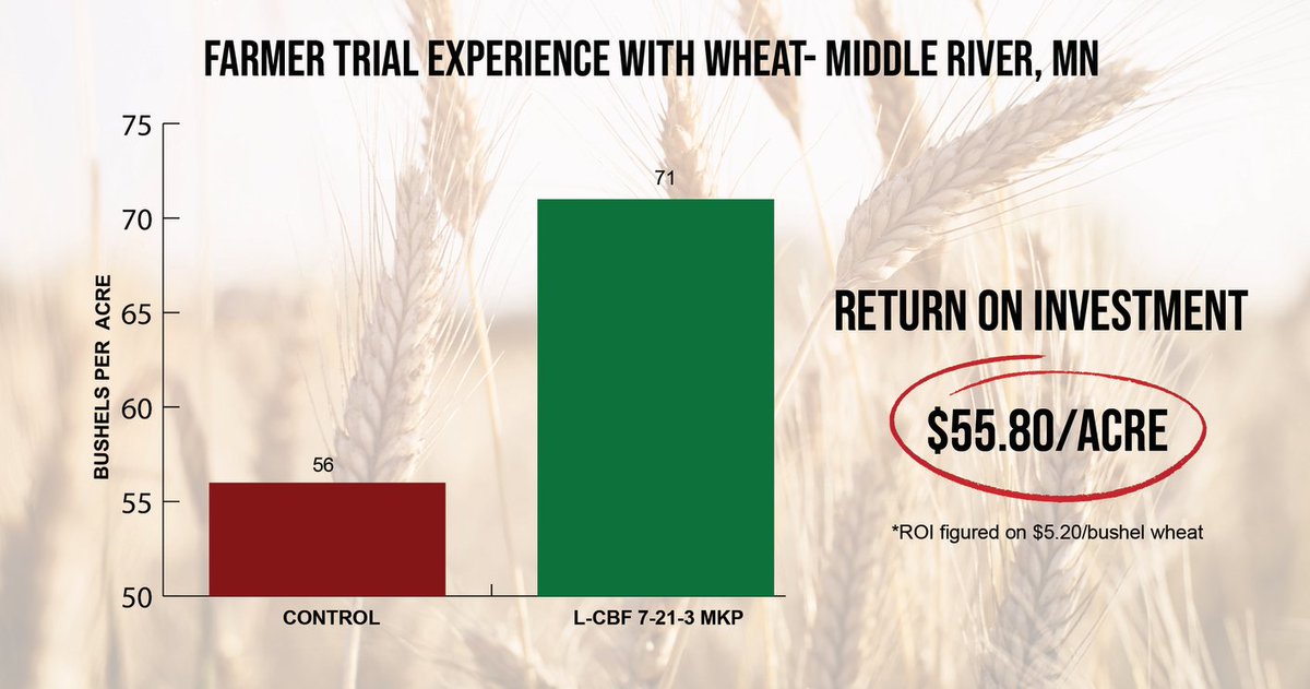 “The crop was so consistent coming in the combine where the L-CBF was applied.” Joe Melby, Middle River, MN pbxx.it/vYC5dK