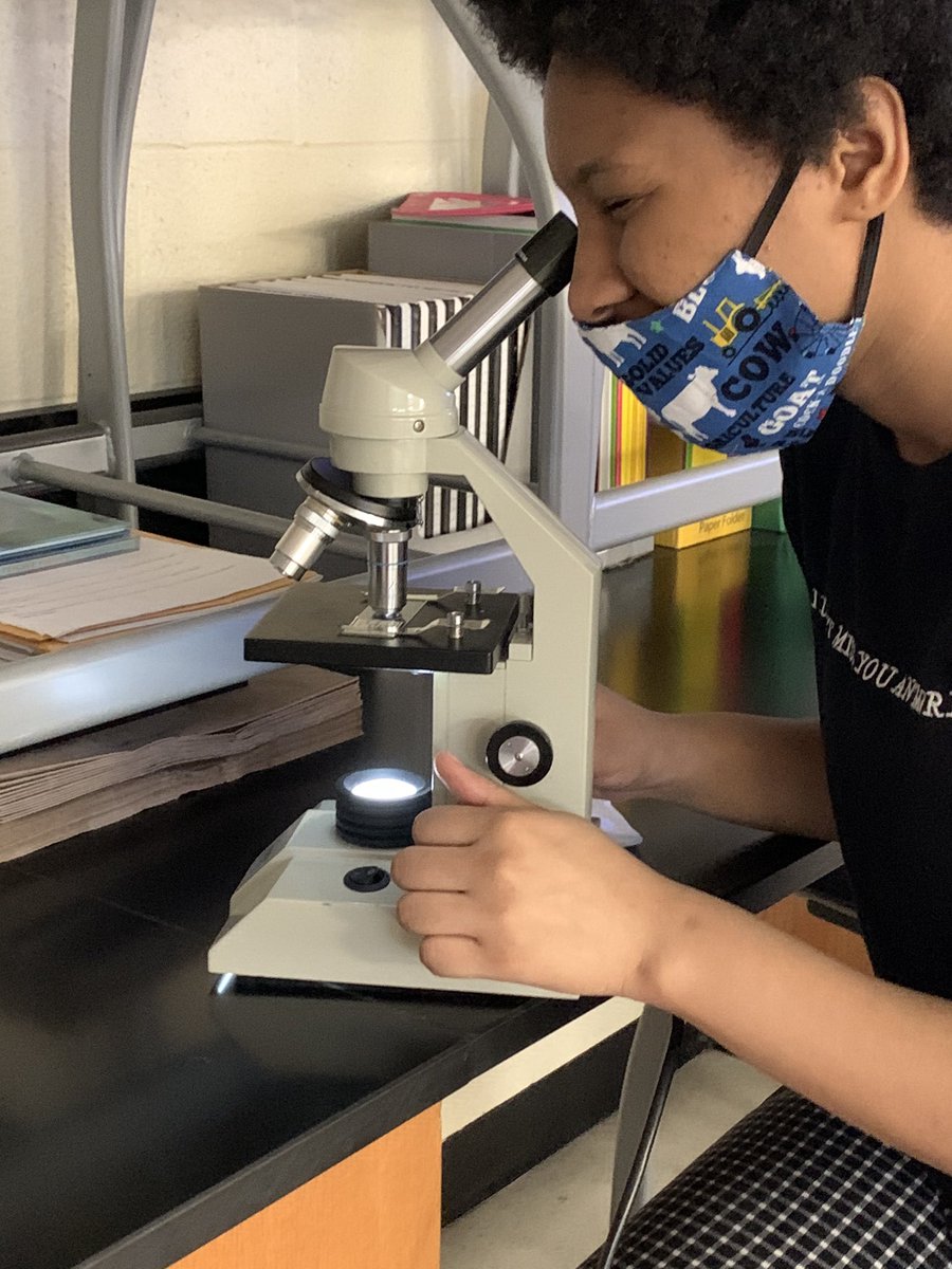 kvague's tweet photo. The show must go on!!!! Young biologists learning microscopy skills. @MonroeHS_NC @UCPSNC @MomPrincipal @AGHoulihan #itsagreatdaytobearedhawk #Microscopy https://t.co/4CnJzV22Fv