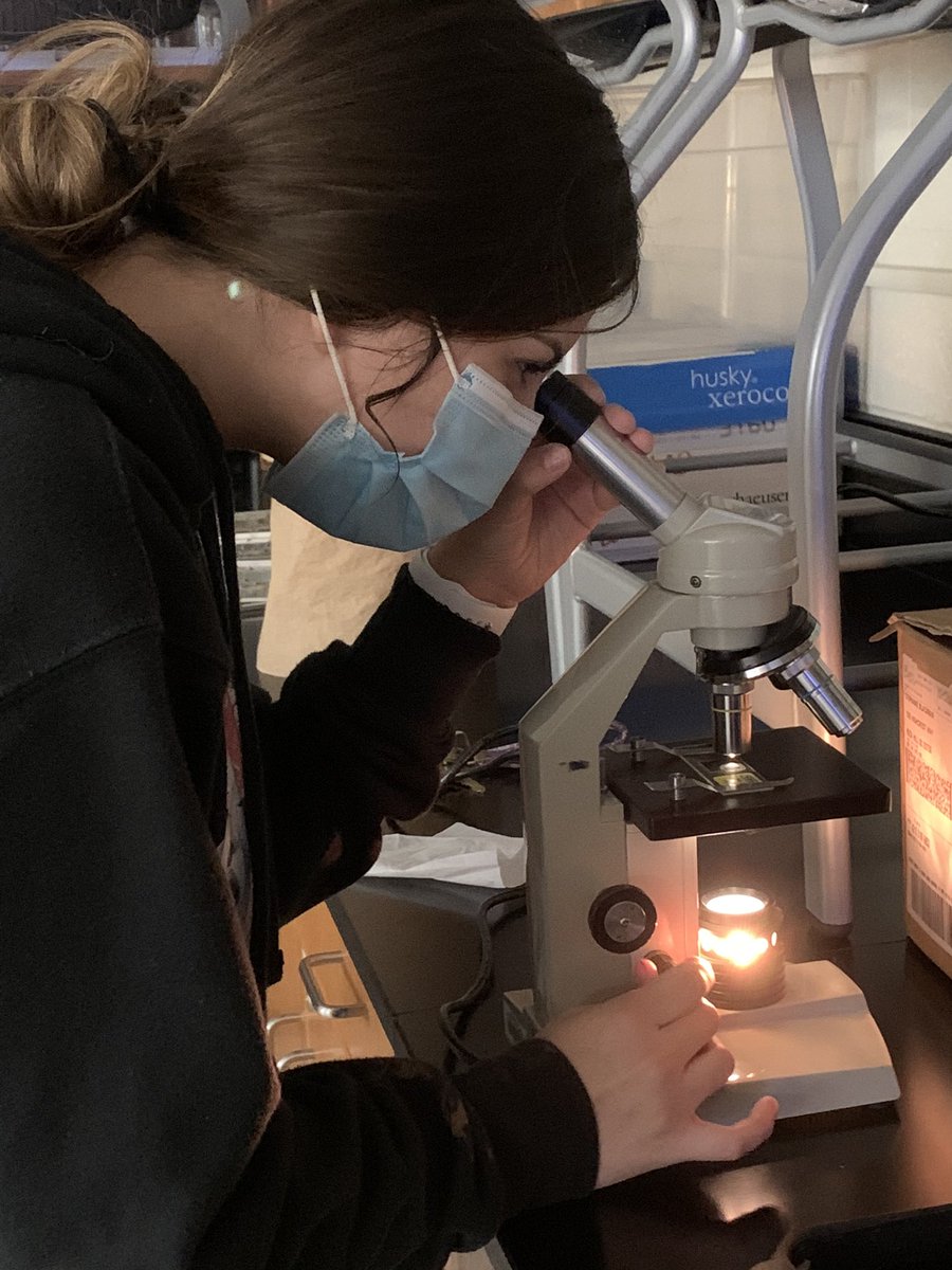 kvague's tweet photo. The show must go on!!!! Young biologists learning microscopy skills. @MonroeHS_NC @UCPSNC @MomPrincipal @AGHoulihan #itsagreatdaytobearedhawk #Microscopy https://t.co/4CnJzV22Fv