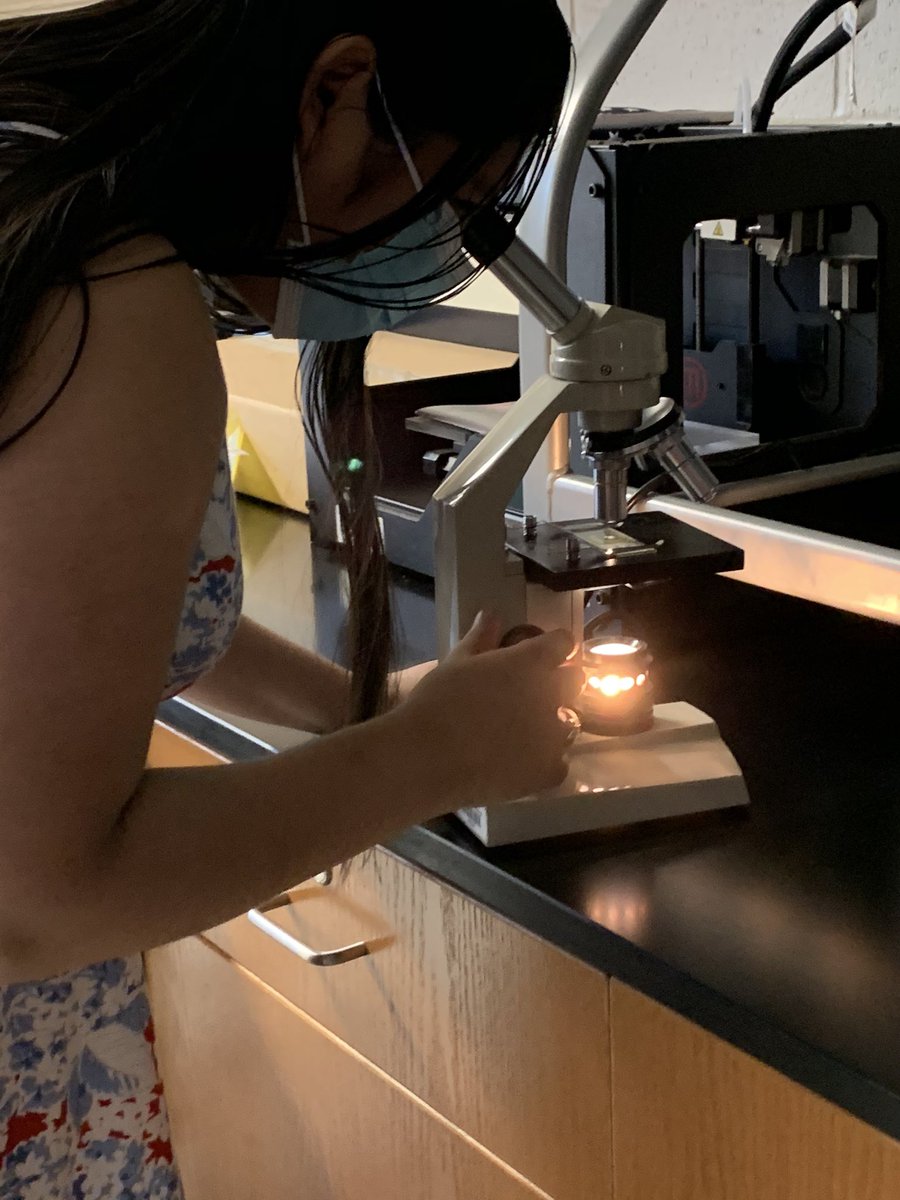 kvague's tweet photo. The show must go on!!!! Young biologists learning microscopy skills. @MonroeHS_NC @UCPSNC @MomPrincipal @AGHoulihan #itsagreatdaytobearedhawk #Microscopy https://t.co/4CnJzV22Fv