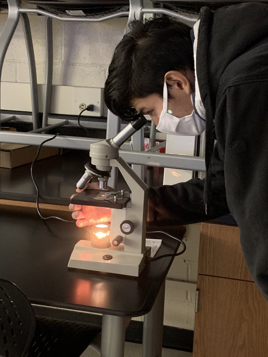 kvague's tweet photo. The show must go on!!!! Young biologists learning microscopy skills. @MonroeHS_NC @UCPSNC @MomPrincipal @AGHoulihan #itsagreatdaytobearedhawk #Microscopy https://t.co/4CnJzV22Fv