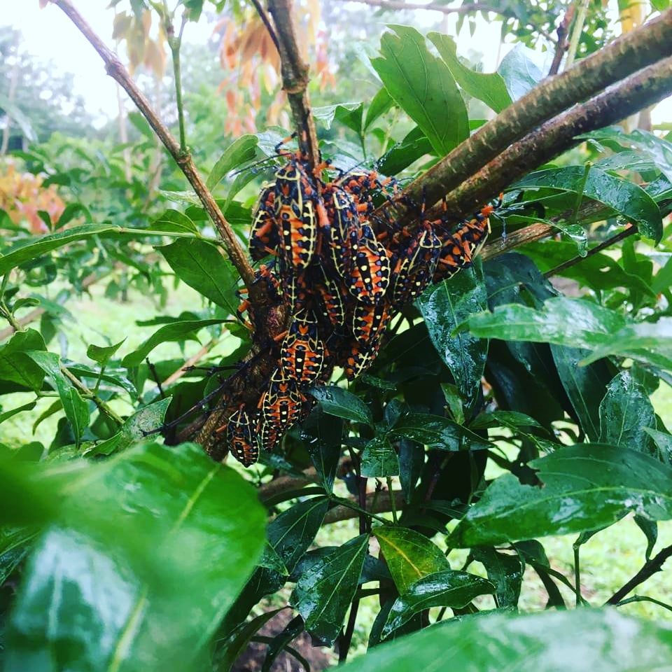 Naturaleza en todo su esplendor 🌿 #CampusVerde