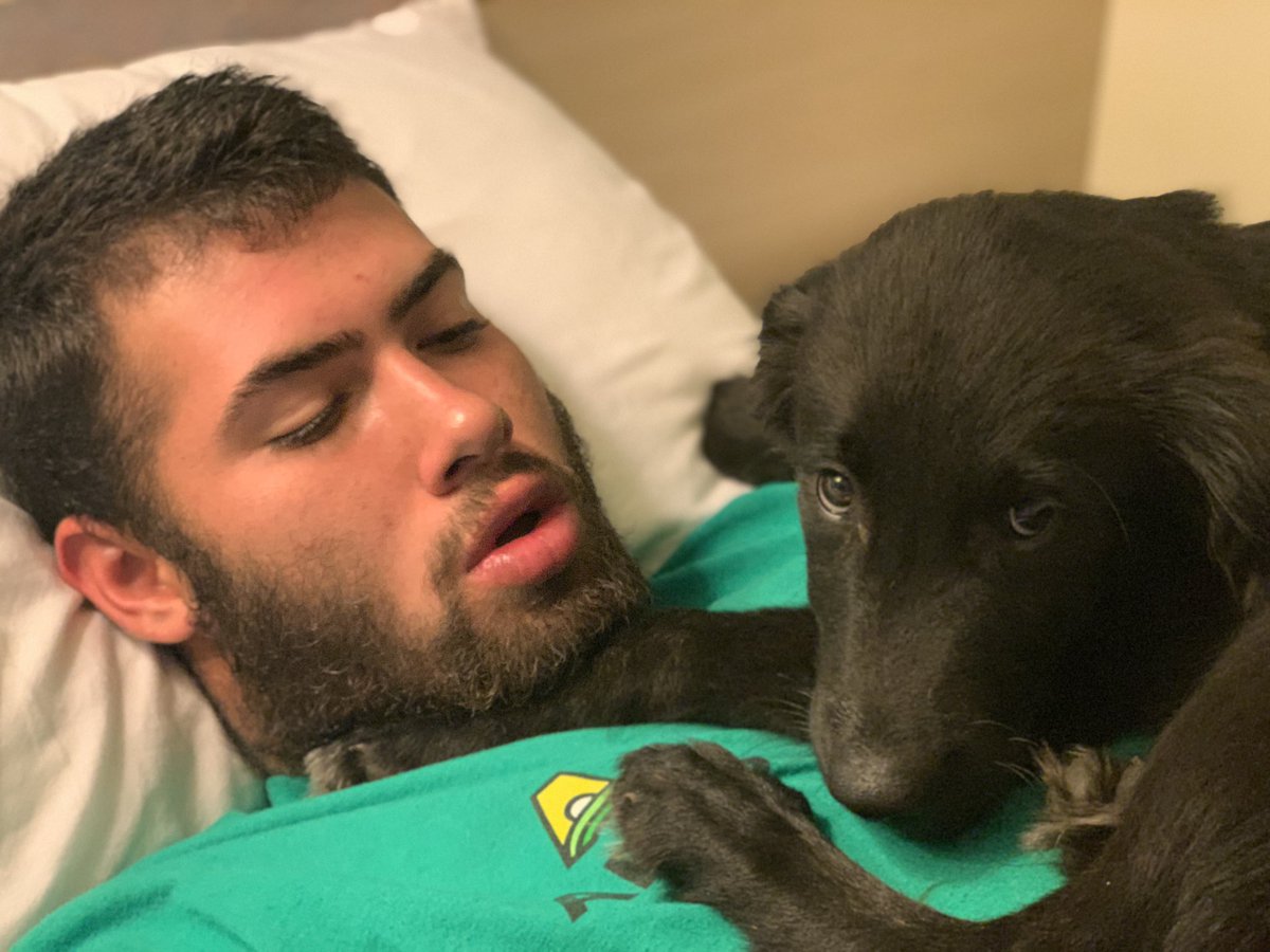 kylie_38's tweet photo. Best decision Ricky and I have made so far😭 Everyone meet Remi. The cutest boy I know https://t.co/HcCC15AOIe