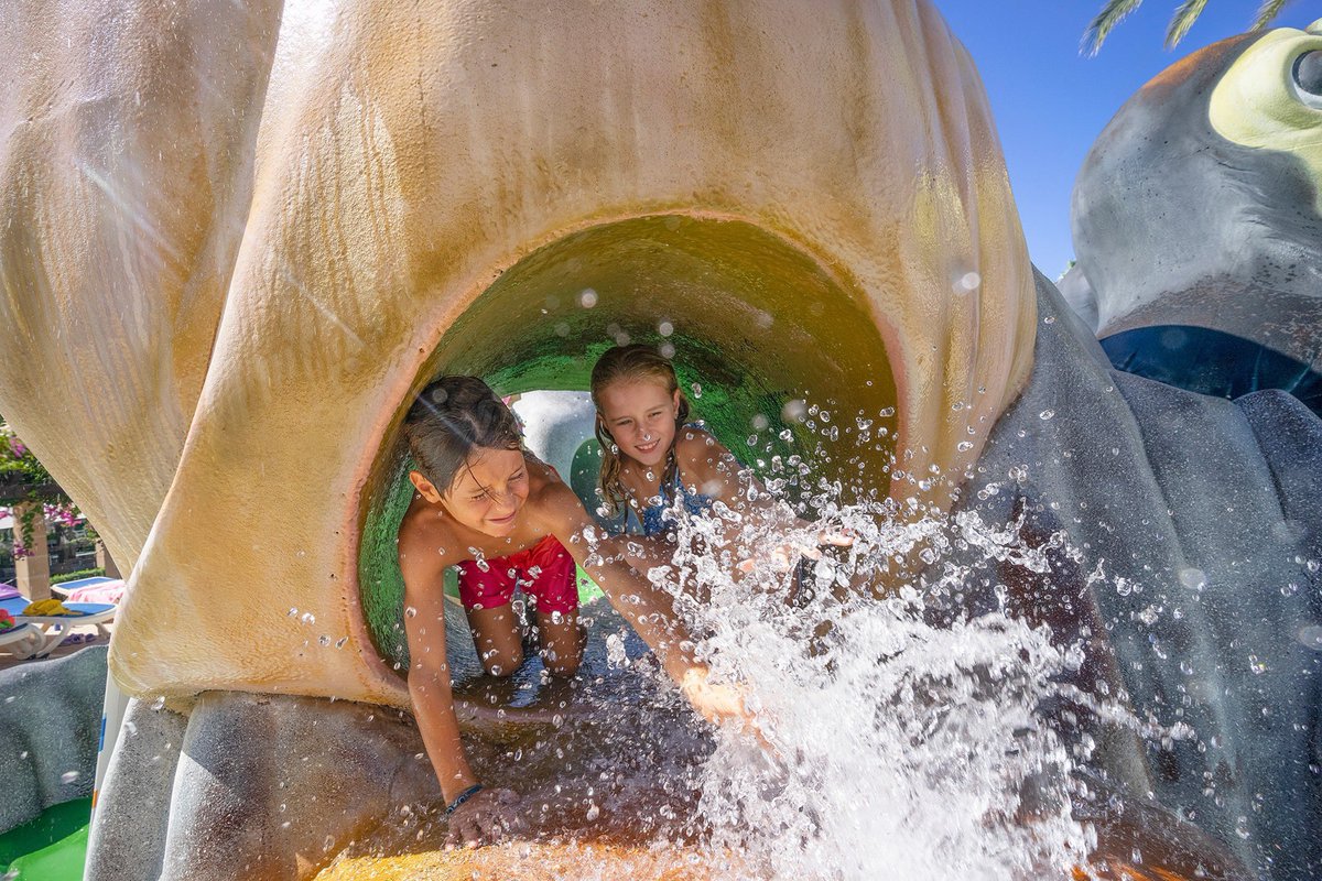 marhotels's tweet photo. Fun for children, free access to #spa, many hours of sunshine, rooms where you can feel at home and the best memories of 2020.
When will you come to #MarHotels Playa Mar & Spa?
https://t.co/wnWrkLbZA9
#Mallorca #holidays #thinkingofholidays #Pollensa https://t.co/OeHFS91VFp