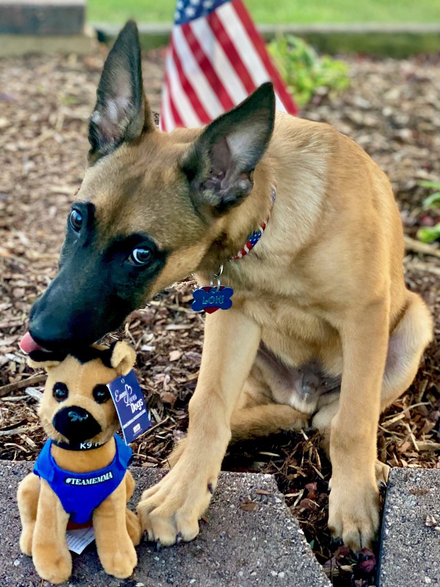 Emma Loves Dogs Foundation tweet media